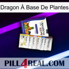 Dragon À Base De Plantes 11